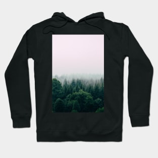 outdoor pines tree Hoodie